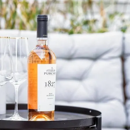 Luxurious Huge Flat With Large Terrace * 布加勒斯特