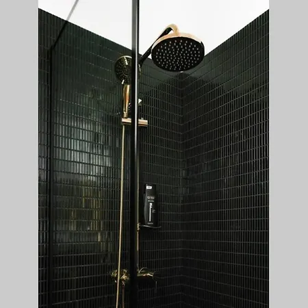 Luxurious Huge Flat With Large Terrace דירה בוקרשט
